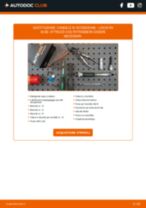 Cambio Candela di accensione LEXUS da soli - manuale online pdf