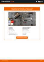 Auswechseln Ansaugluftkühler LEXUS RX: PDF kostenlos