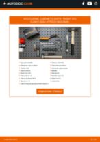 Cambio Sensore massa aria FORD da soli - manuale online pdf