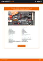 PDF návod na výmenu: Pružina PEUGEOT 108 zadné a predné