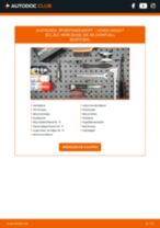 RENAULT Autoscheinwerfer Bi Xenon und Halogen wechseln - Online-Handbuch PDF
