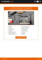 Abarth 500С Cabrio Hydrolager: Online-Handbuch zum Selbstwechsel