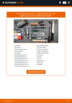 LANCIA Lmm wechseln - Online-Handbuch PDF