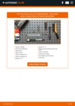 DACO Germany 802315 per Classe B (W245) | PDF istruzioni di sostituzione
