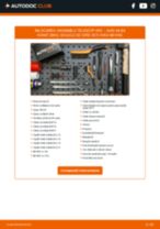 Schimbare Amortizor AUDI A4: manual de intretinere si reparatii