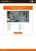 ATE 24.8190-0401.2 voor C-Klasse T-modell (S202) | PDF handleiding voor vervanging