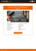 PDF manuale sulla manutenzione QUBO (225) 1.4 Natural Power