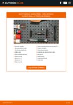 ABARTH 500 / 595 / 695 Generatore sostituzione: consigli e suggerimenti