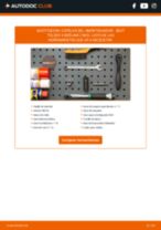 Manual de taller para Toledo II Berlina (1M2) 1.4 16V en línea