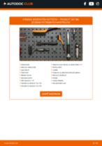 PDF návod na výmenu: Brzdový kotouč PEUGEOT 307 SW (3H) zadné a predné