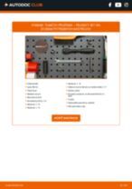 PDF návod na výmenu: Tlmiče perovania PEUGEOT 307 SW (3H) zadné a predné