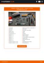 PDF návod na výmenu: Lozisko kolesa PEUGEOT 307 SW (3H) zadné a predné