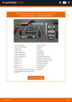 RENAULT CLIO II Box (SB0/1/2_) Cuscinetto Ruota sostituzione: tutorial PDF passo-passo