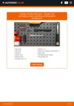 PDF návod na výmenu: Pružina PEUGEOT 307 (3A/C) zadné a predné