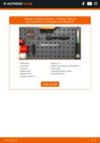 SACHS 993 334 pre 308 CC (4B_) | PDF návod na výmenu