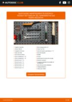 Manual online sobre el cambio de Amortiguador por su cuenta en PEUGEOT 307 Break (3E)