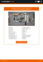 Polo 6N1 Nummernschildbeleuchtung wechseln LED und Halogen Anleitung pdf