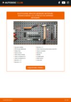 CITROËN DS4 Ammortizzatori sostituzione: tutorial PDF passo-passo