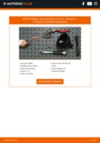 Cambio Batteria AGM, EFB, GEL FORD B-MAX: guida pdf