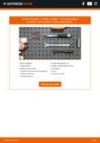 Le guide professionnel de remplacement pour Thermostat sur votre SL R129 500 SL 5.0 (129.066)
