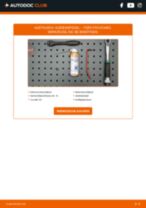 FORD Tourneo Custom Blinker Lampe: Online-Handbuch zum Selbstwechsel
