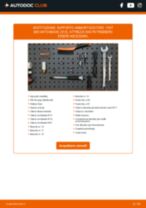 MAXGEAR 72-2096 per 500 (312) | PDF istruzioni di sostituzione