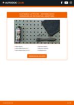 Wie Luftmengenmesser beim FIAT DOBLO Box Body / Estate (263) wechseln - Handbuch online