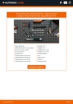 Δωρεάν PDF εγχειρίδιο αντικατάστασης OCTAVIA 2014