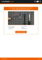 Cambio Unidad de bobina de encendido OPEL bricolaje - manual pdf en línea