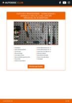 DELPHI BG4108C für Qashqai / Qashqai+2 I Van (J10, JJ10E) | PDF Handbuch zum Wechsel