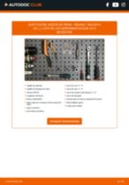 Manual de sustitución para KOLEOS del 2014 gratuito en PDF