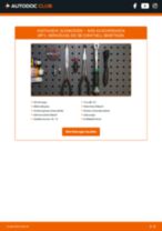 BERU E2519266009A1 für A3 Schrägheck (8P1) | PDF Anleitung zum Wechsel