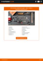 Stap-voor-stap PDF-handleidingen over het veranderen van Mercedes Vito Mixto W639 Batterij