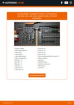 PDF manuale sulla manutenzione Caddy III Van (2KA, 2KH, 2CA, 2CH) 1.4