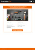 Cambio Kit amortiguadores delanteros y traseros SUZUKI bricolaje - manual pdf en línea