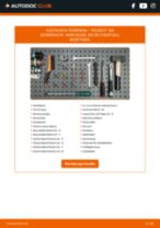 AL-KO 300365 für 306 Schrägheck (7A, 7C, N3, N5) | PDF Handbuch zum Wechsel