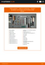 PDF manuel sur la maintenance de 306