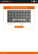 SEAT CORDOBA Vario (6K5) Heckleuchte wechseln links und rechts Anleitung pdf