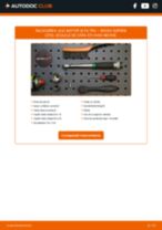JPN 10F5012-JPN pentru SUPERB (3T4) | PDF manualul de înlocuire