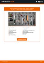 PDF manuale sulla manutenzione ESPACE