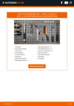 STARK SKBP-0011563 für Scénic III (JZ0/1_) | PDF Handbuch zum Wechsel