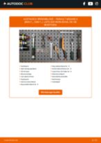 DENCKERMANN B110650 für MEGANE II (BM0/1_, CM0/1_) | PDF Handbuch zum Wechsel