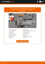 Sostituzione Kit riparazione pinza freno VW PASSAT: pdf gratuito