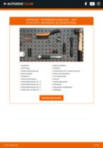 Ausführliche Anleitung für den SEAT ALTEA 20220 im PDF-Format