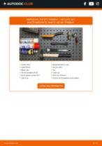 FAG 713 6103 10 за Lupo (6X1, 6E1) | PDF ръководство за смяна