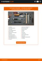 CITROËN DS3 Reparaturhandbücher für professionelle Kfz-Mechatroniker und autobegeisterte Hobbyschrauber