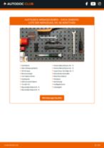 METZGER 6110170 für SANDERO | PDF Handbuch zum Wechsel