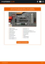 Cambio Juego de frenos de disco traseras y delanteras DACIA bricolaje - manual pdf en línea