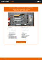 Werkstatthandbuch für Fabia II Combi (545) 1.4 TDI online
