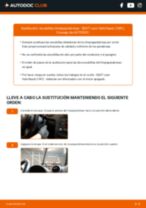 Reemplazo Escobillas instrucción pdf para SEAT LEON